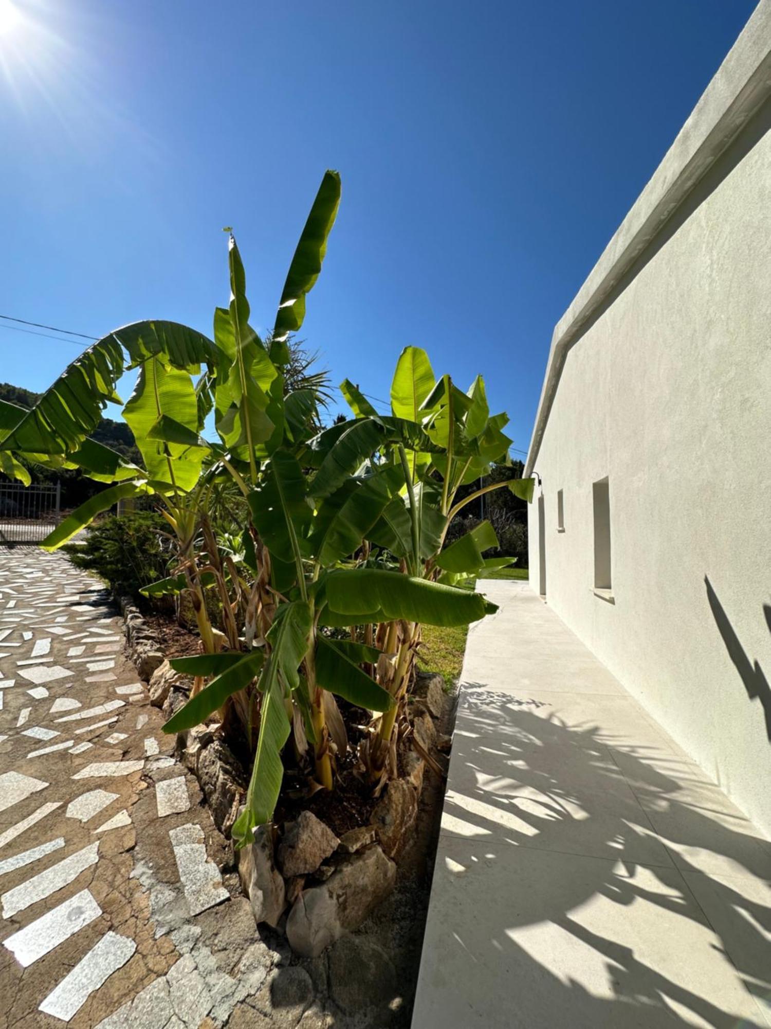 Casa Vacanze Villa Porto Conte Exterior photo